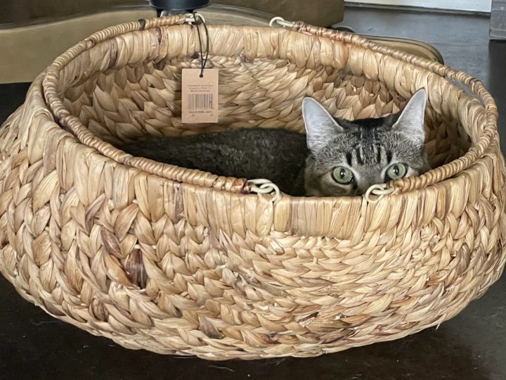 Max